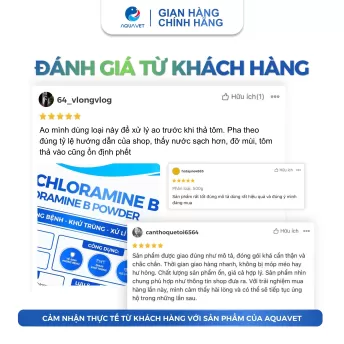 Bột khử khuẩn Chloramine B